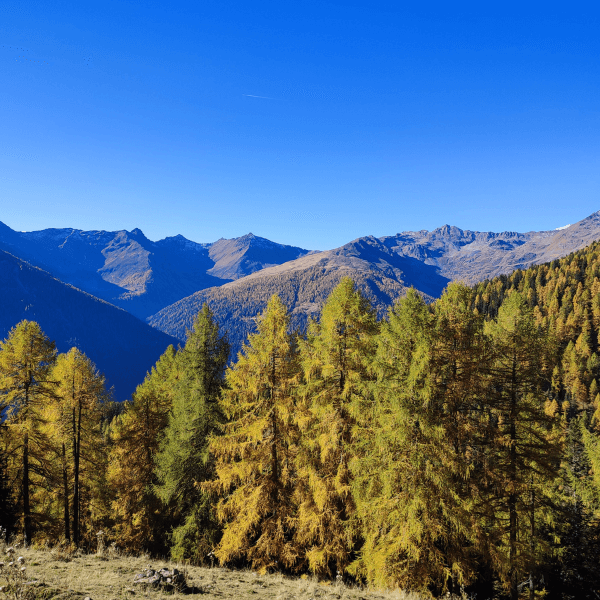 Autunno in Val di Rabbi